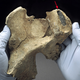 Illustration for article titled Kennewick Man came from far away, says study